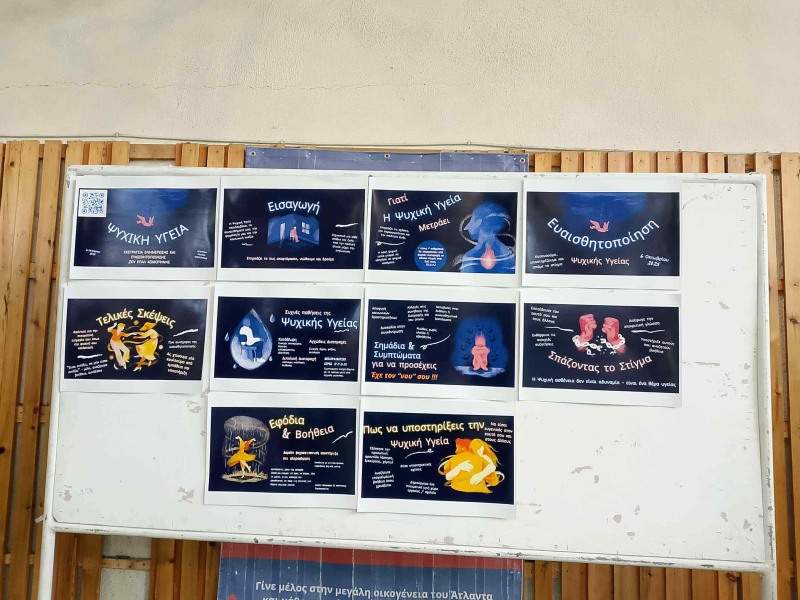 pic3